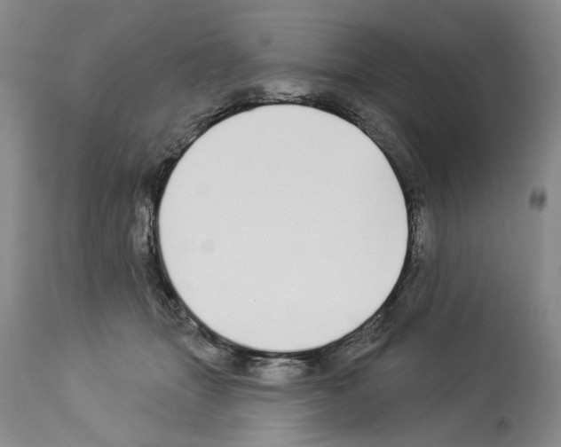 X0000113960463200911061329