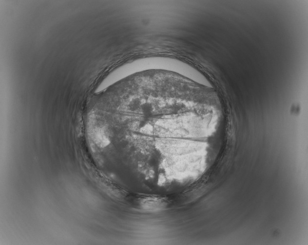 X0000113960465200911061329