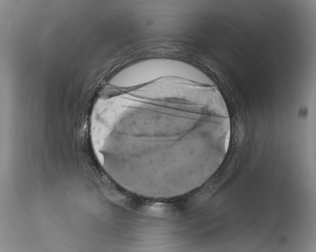 X0000113960467200911061329