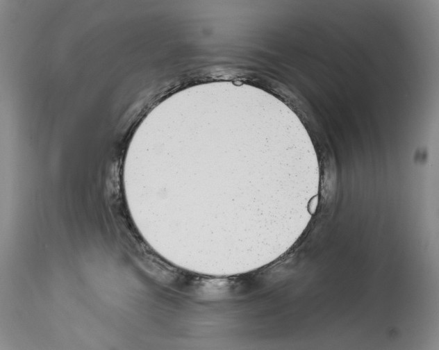 X0000113960473200911061329