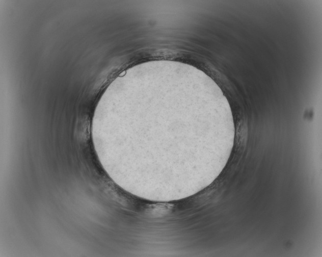 X0000113960474200911061329
