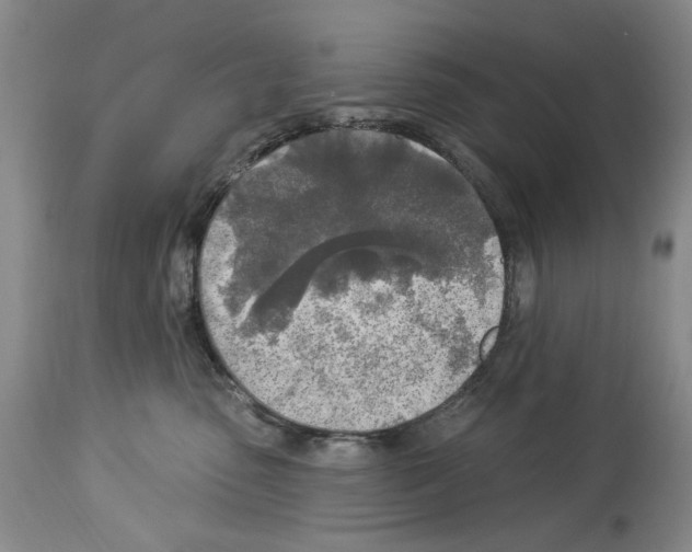 X0000113960475200911061329