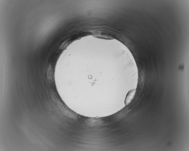 X0000113960477200911061329