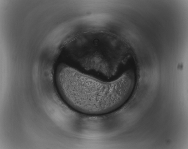 X0000113960478200911061329