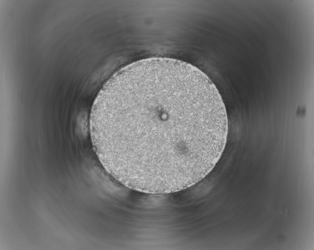 X0000113960479200911061329