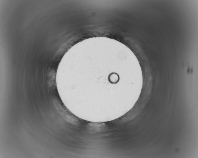 X0000113960480200911061329