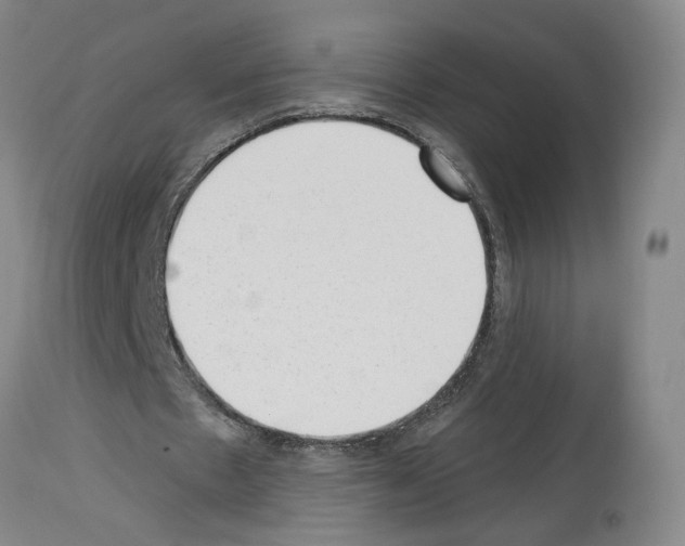 X0000113960481200911061329