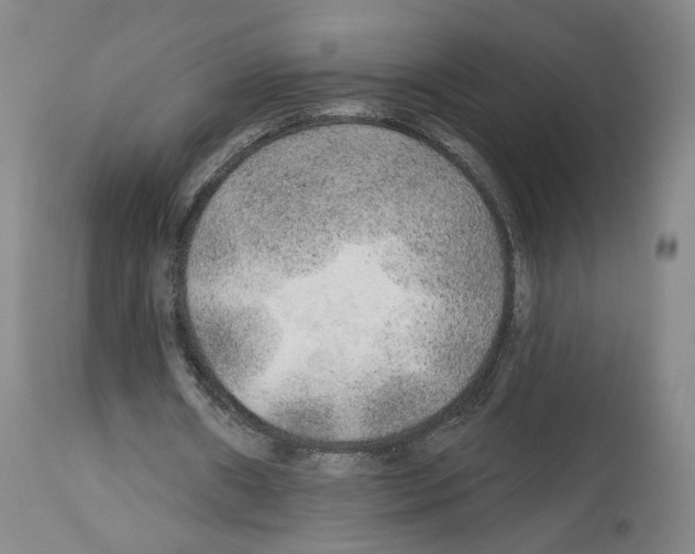 X0000113960482200911061329