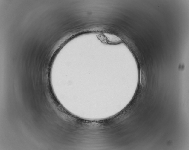 X0000113960483200911061329