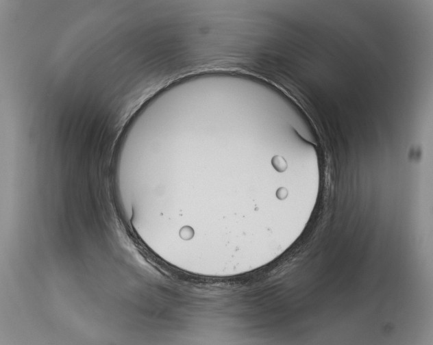 X0000113960485200911061329