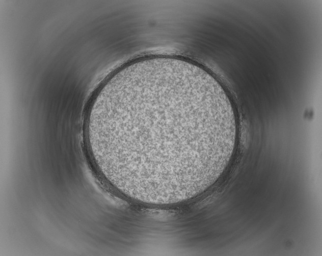 X0000113960486200911061329
