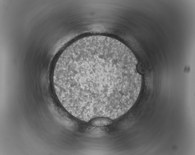 X0000113960488200911061329