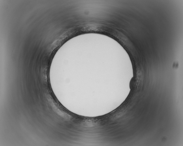 X0000113960489200911061329