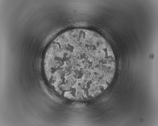 X0000113960491200911061329