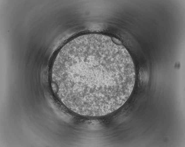 X0000113960492200911061329