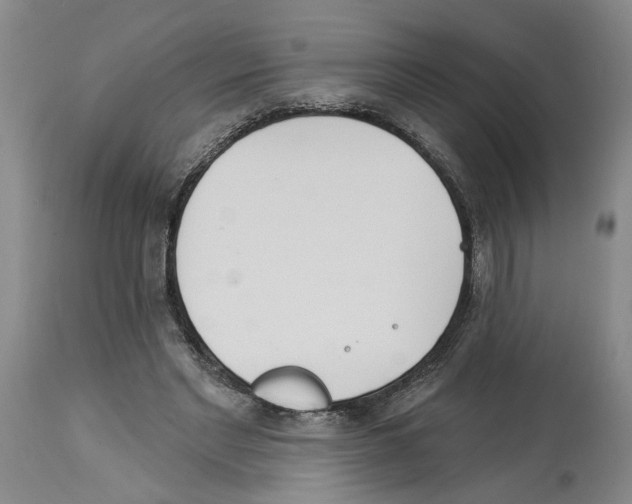 X0000113960493200911061329