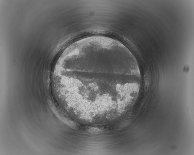 X0000113960494200911061329