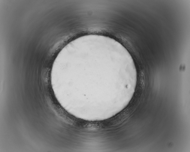X0000113960495200911061329