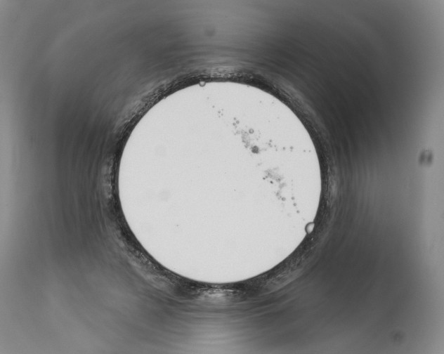 X0000113960497200911061329