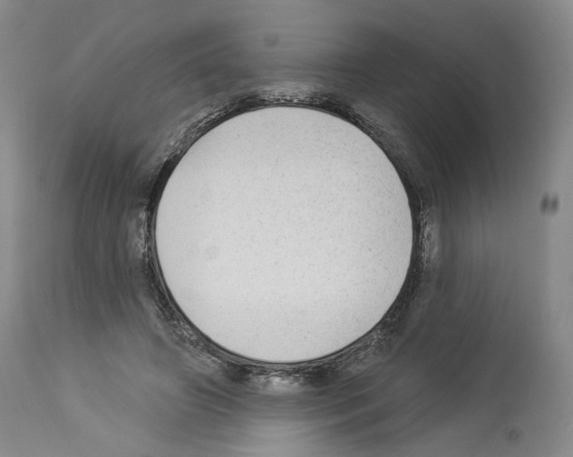 X0000113960498200911061328