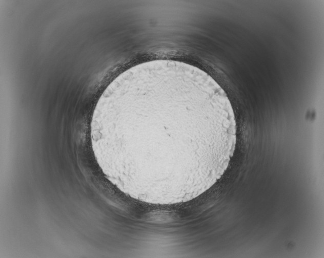X0000113960499200911061328