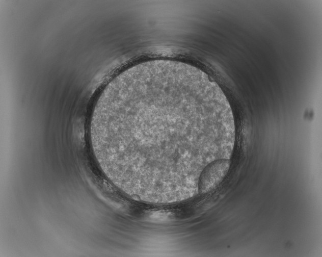 X0000113960500200911061328