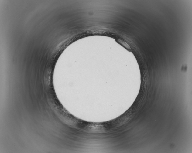 X0000113960501200911061328