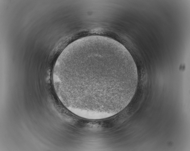 X0000113960502200911061328
