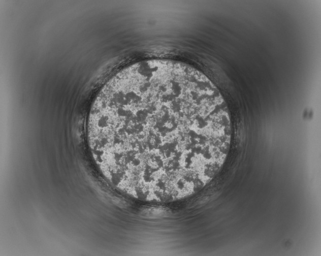 X0000113960503200911061328