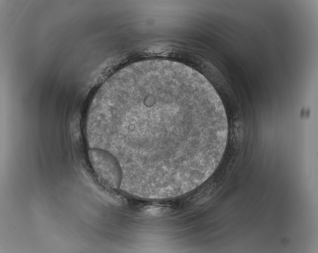X0000113960504200911061328