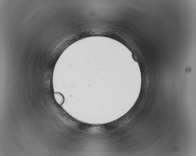 X0000113960505200911061328