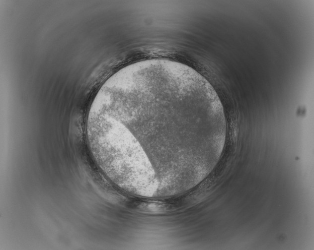 X0000113960506200911061328