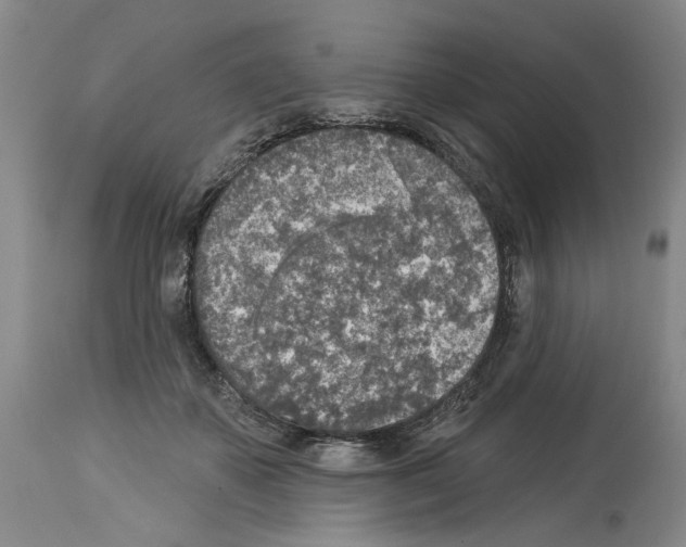 X0000113960507200911061328