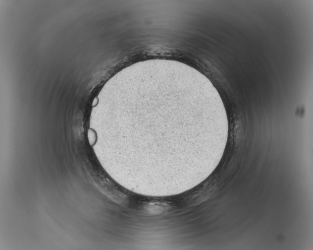 X0000113960508200911061328