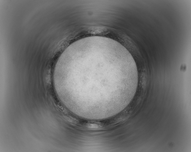 X0000113960510200911061328