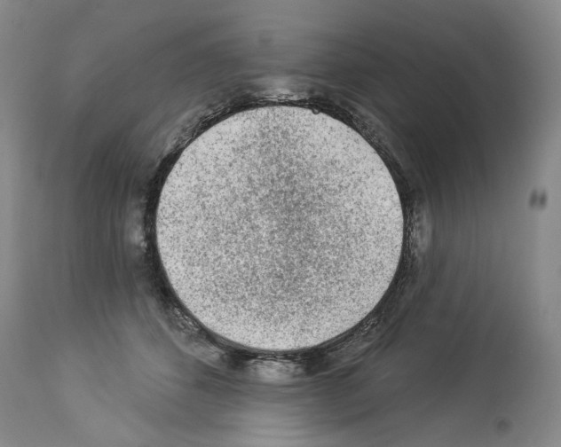X0000113960512200911061328