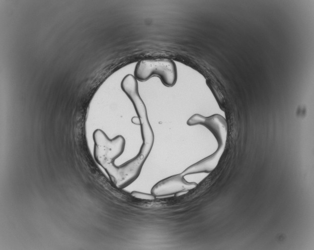 X0000113960513200911061328