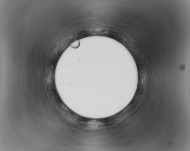 X0000113960515200911061328