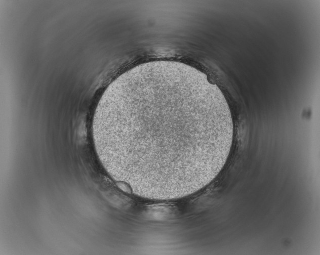 X0000113960516200911061328