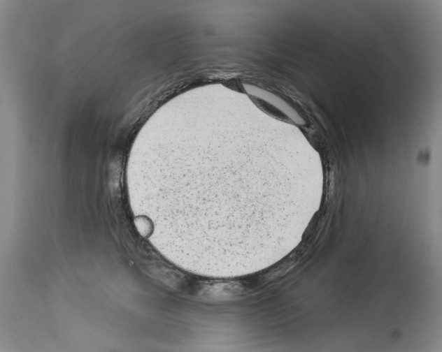 X0000113960517200911061328
