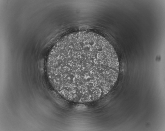 X0000113960519200911061328