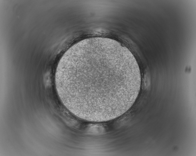 X0000113960520200911061328