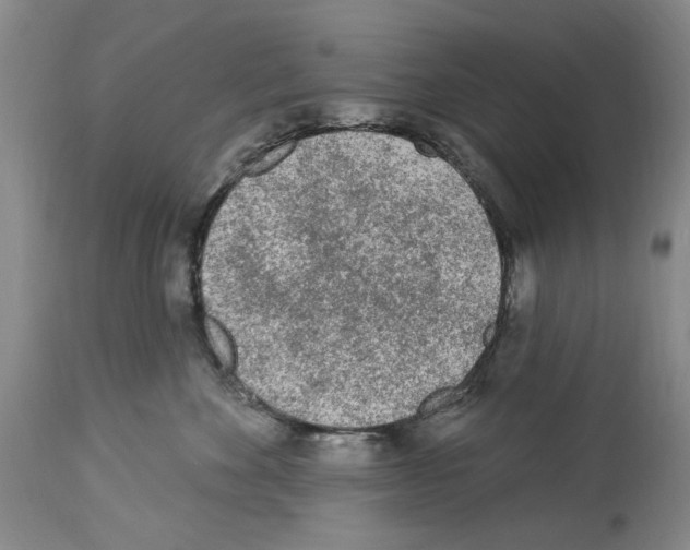X0000113960524200911061328
