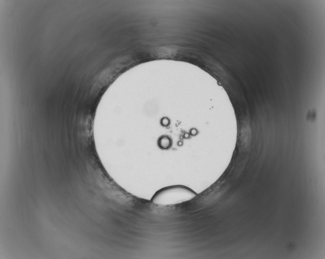 X0000113960525200911061328