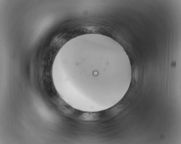 X0000113960526200911061328