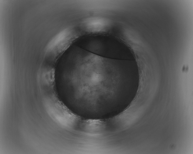 X0000113960528200911061328