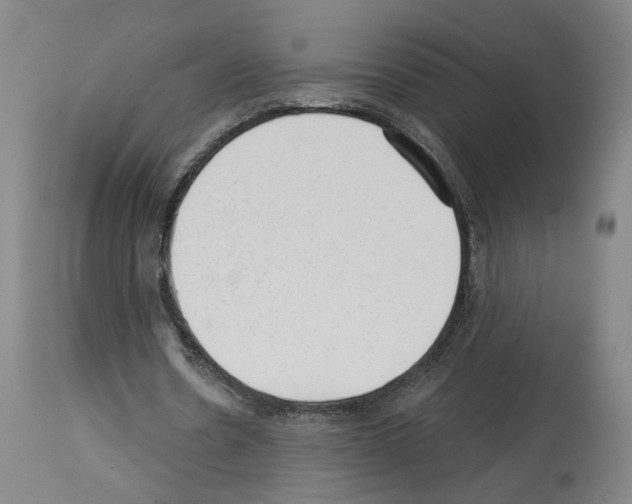 X0000113960530200911061327