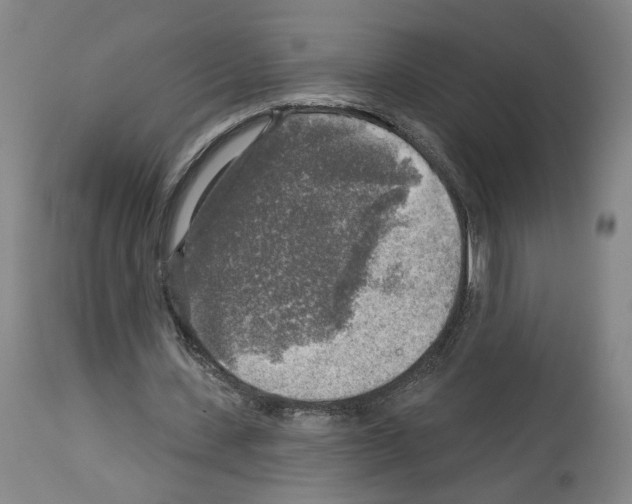 X0000113960531200911061327