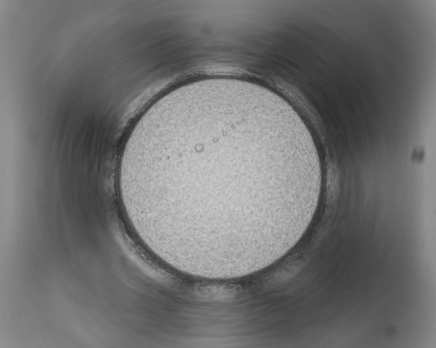 X0000113960533200911061327
