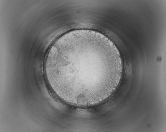 X0000113960534200911061327